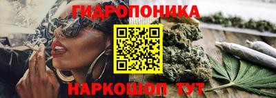 индика Коммунар